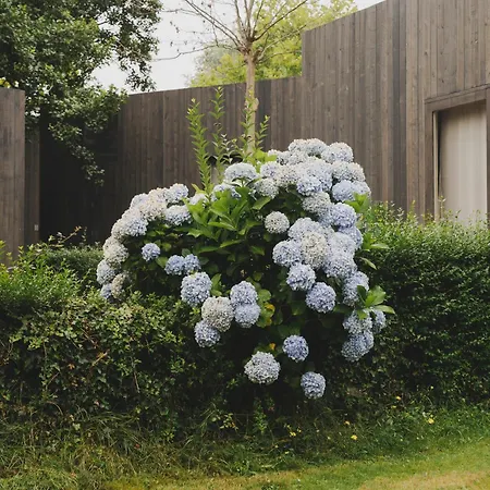 Wecamp Cudillero Camping